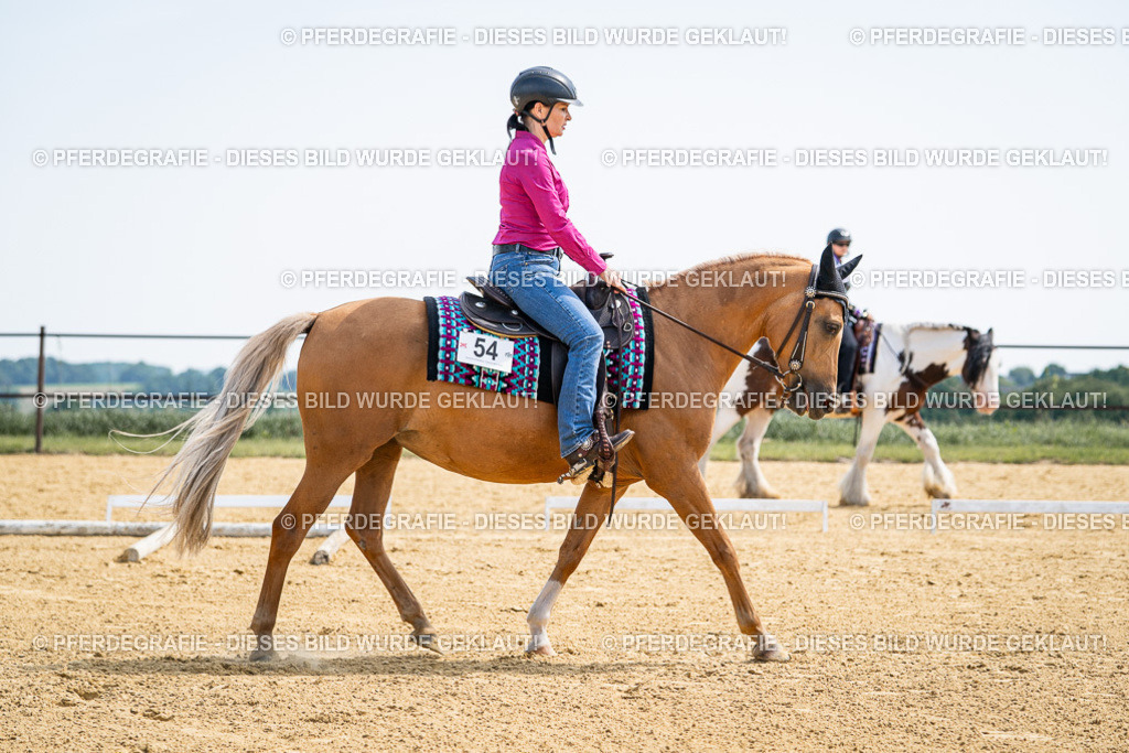 DSC00325 | Pferdegrafie