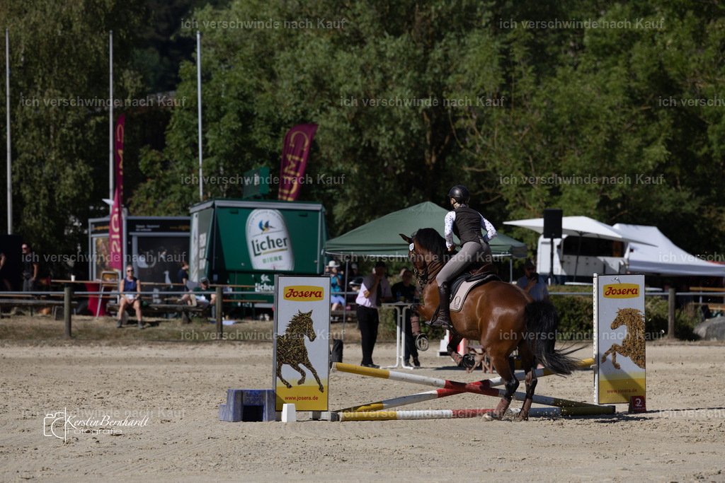 WL_Speed_106_KerstinBernhardt-5 | working equitationturnier fotograf videograf stoibphotography marixx film working equitation deutschland reitsport turnierfotografie eventfotografie equestrian events