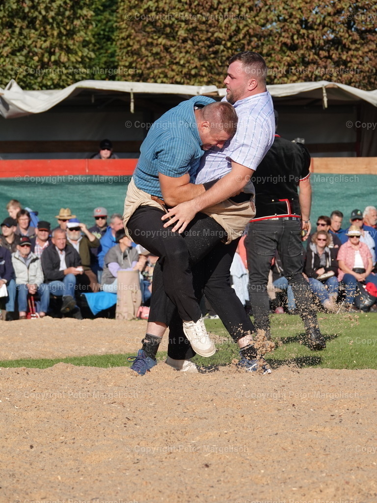 DSC05545 | Schwingen - Realisiert mit Pictrs.com