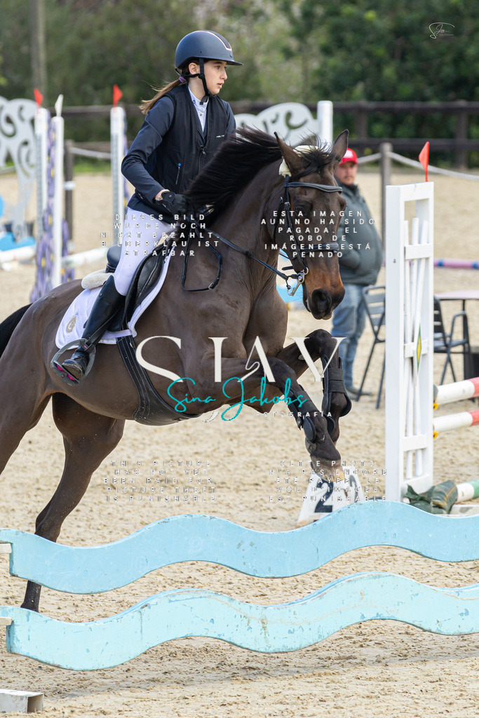 IMG_4968 | s-jay-photography - Realisiert mit Pictrs.com