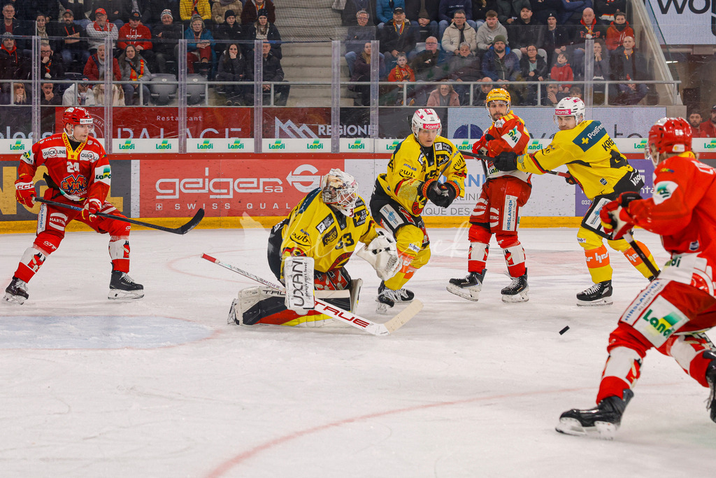 EHCB vs SCB 20260110_wb-3728 | Sportbilder, Sportfotograf, Hochzeits- und Eventfotografin, Flugshows, Portraits und Tiershooting, Aviation, Downhill, Nationalleague, Swissleague, International