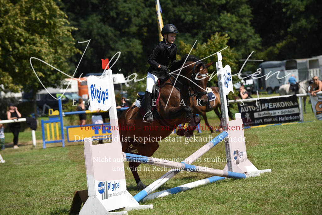 DSC_9909 | Pferde- und Turnierfotografie in Westsachsen. Pferdeportraits, Auftragszeichnungen und intuitive Kunst.