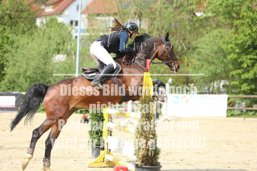 IMGM5829 | pl-fotografie