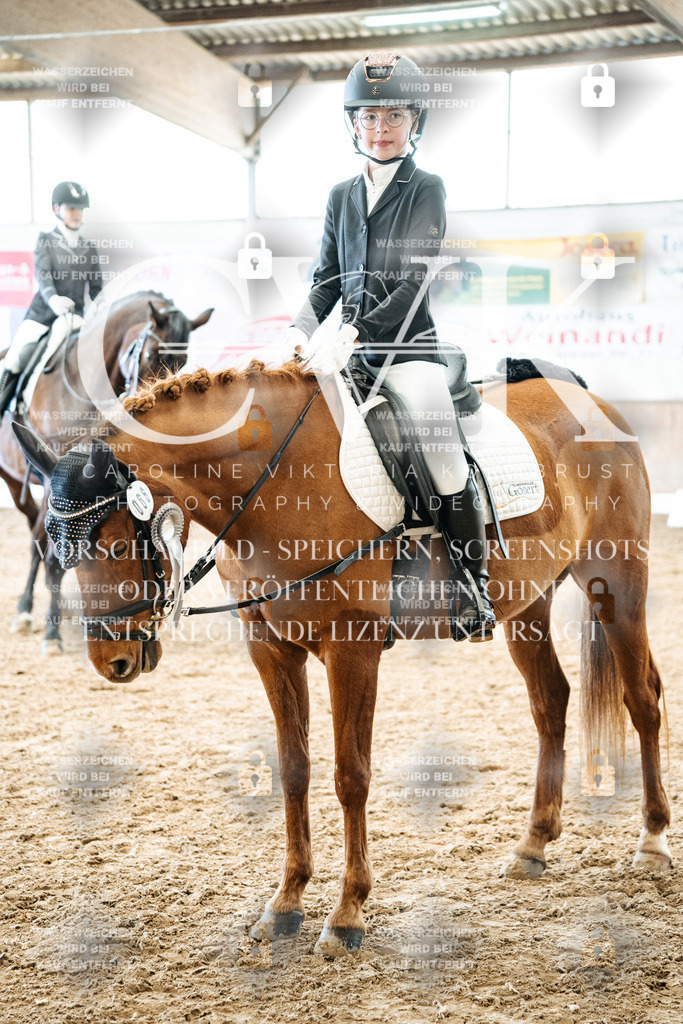 CK703096 | Turnierfotografie Pferdefotografie Trier Rheinland-Pfalz Pferdesport Reitsport Tierfotografie Sportfotografie Pferdevideo Pferdevideografie Equestrianvideography equestrianphotography  - Realisiert mit Pictrs.com