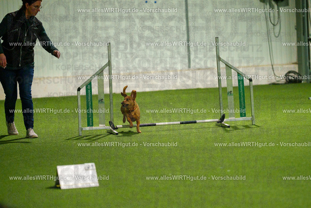 7R508650 | Professionelle Tierfotografie in Mönchengladbach von Daniel Wirth (allesWIRTHgut). Liebevolle & natürliche Bilder von Hunden & Katzen für unvergessliche Erinnerungen.