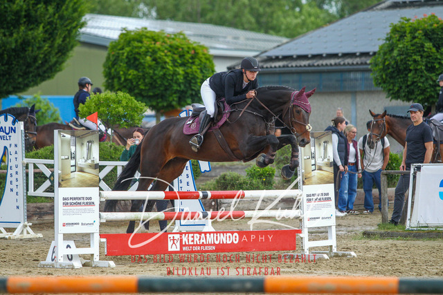 DKP41494 | Turniersportfotografie; Pferdefotografie; Dressurfotografie