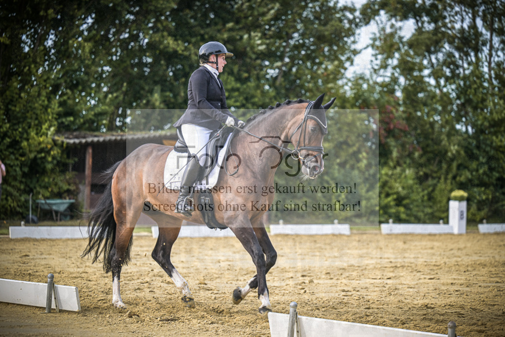 DOS_0331 | Entdecke hochwertige Reitturnierfotos von Foto Oger. Professionell, emotional und authentisch – jetzt Lieblingsmomente im Shop bestellen.Deutschlandweite Turnierfotografie. - Realisiert mit Pictrs.com