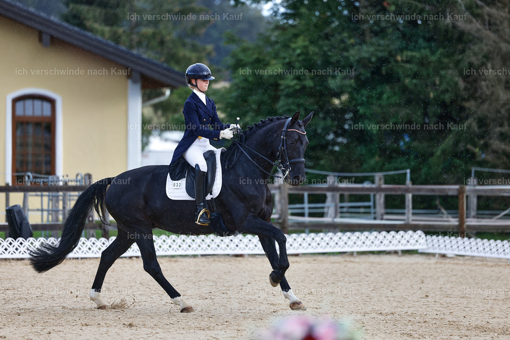 10-033-ST.GEORG SPECIAL -StoibPH-3120 | working equitationturnier fotograf videograf stoibphotography marixx film working equitation deutschland reitsport turnierfotografie eventfotografie equestrian events