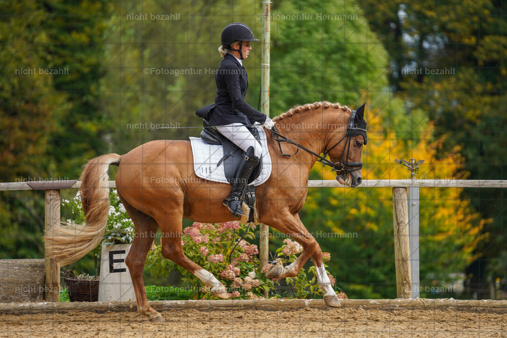 20221007-FAH09845 | Diessen am Ammersee, 2022, Dressur- und Springturnier, Reitsportbilder, Turnierfotografen Bayern, Pferdefotografen, Fotoagentur Herrmann, Turnierbilder
