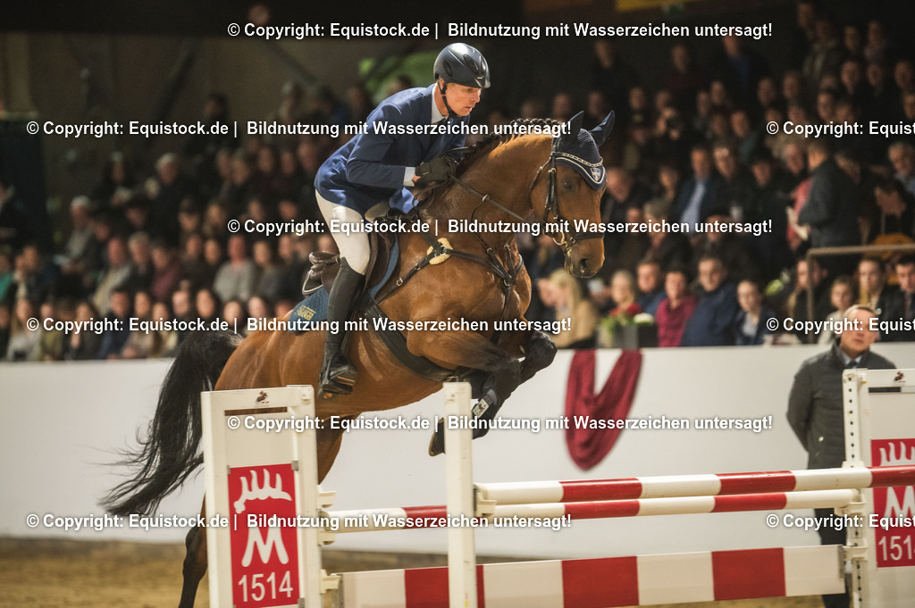 20240302_Hengstvorstellung_Marbach_TOMsPiC_0447 | equistock