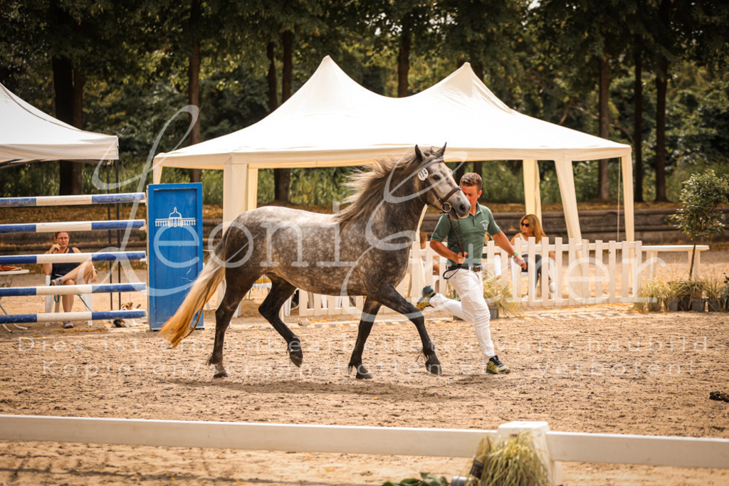 04.So00078 | Leoni Ertmer Photography - Realisiert mit Pictrs.com