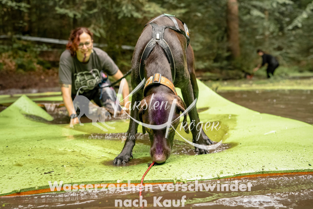1212_ZZ93076-Bearbeitet | kk-dogfotos