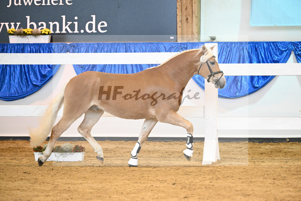 Kat-Nr. 12 Sterzing v. Steingold_Niedermair_60220159 | hf-fotografie - Realisiert mit Pictrs.com