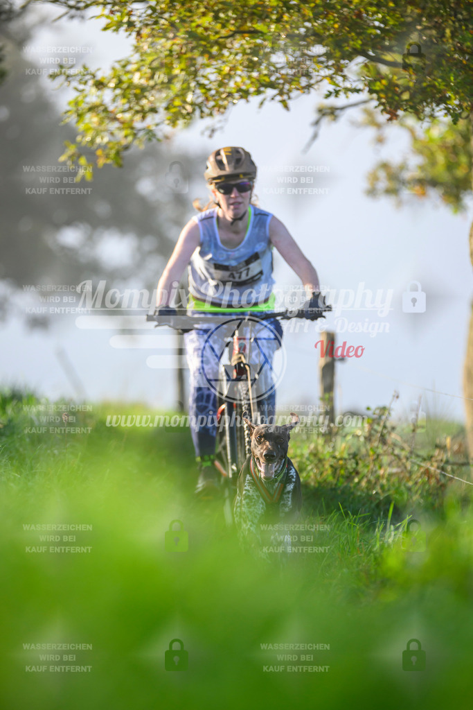 MompixPhotography_20TSB_E3_Bike-148 | PayLife