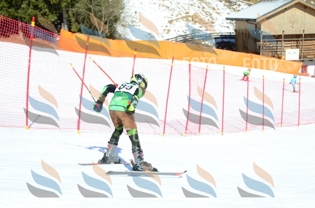 C5684 | holidayphoto