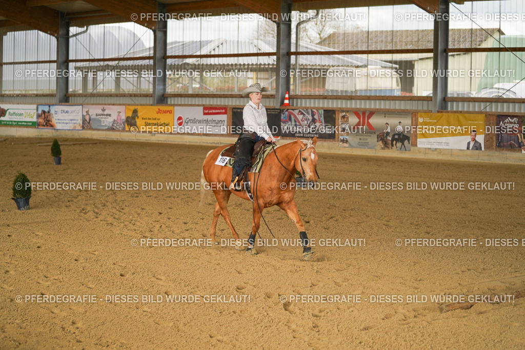 DSC02577 | Pferdegrafie