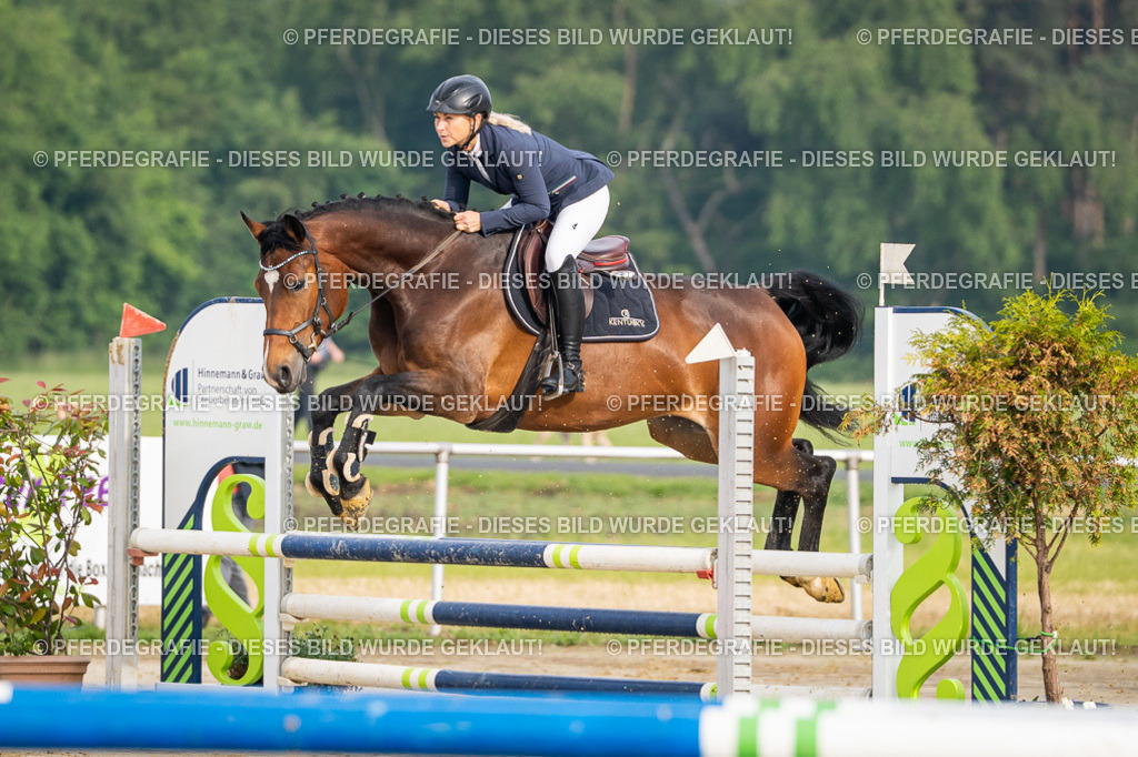 DSC08024 | Pferdegrafie