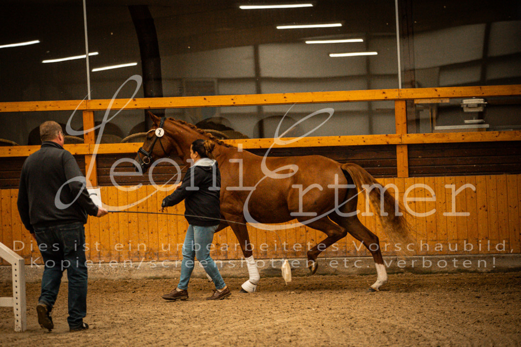 1FS_L00038 | Leoni Ertmer Photography - Realisiert mit Pictrs.com