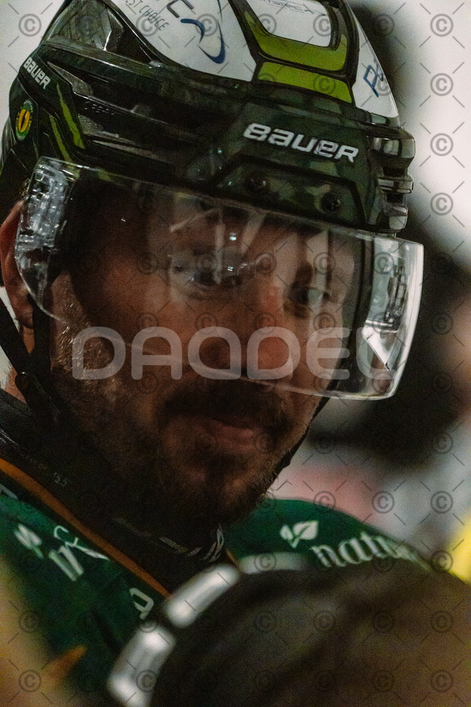 Alligatros_vs_Leipzig_11_09_2026-22 | Die Fotogalerie von Daddel: professionelle Bilder von Sport, Events und Unternehmen aus Franken. Jetzt Galerien durchstöbern und Lieblingsfotos bestellen. - Realisiert mit Pictrs.com