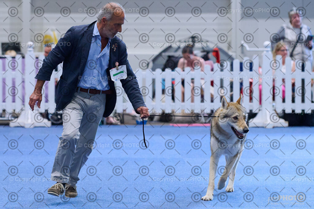 202406_ÖKV-IHA-Tulln24_DSC_3821 | proPHOTO - Realisiert mit Pictrs.com