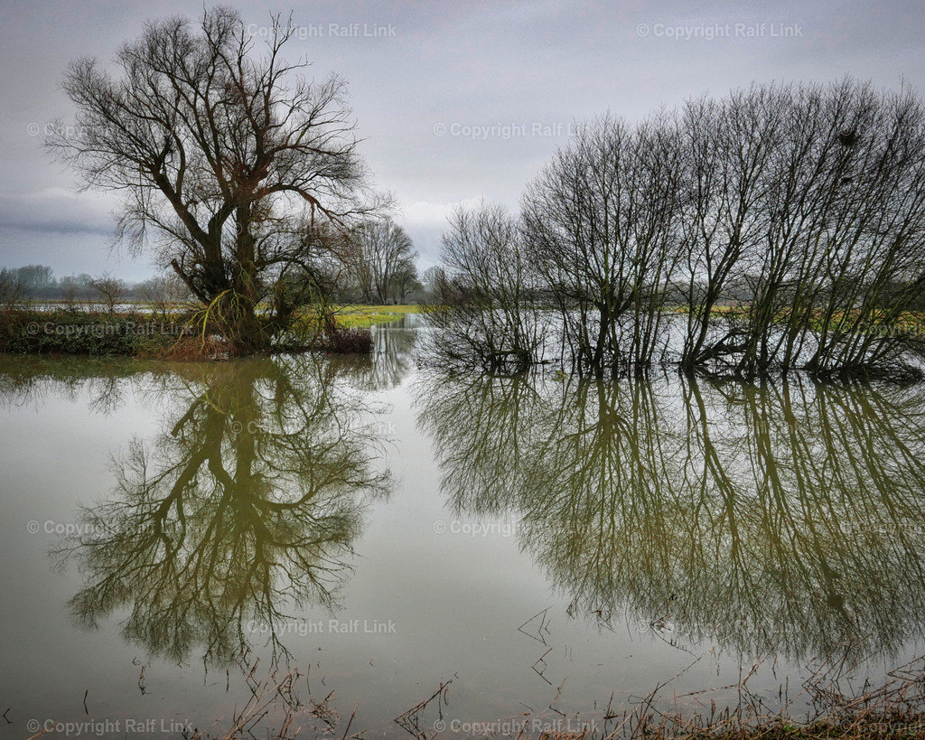 Bruehl_Rheinauen_ueberflutet | Stockfotos, Fotos mit Miniaturfiguren und kreativen Ideen. Dabei auch vieles aus der Metropolregion Rhein-Neckar. 