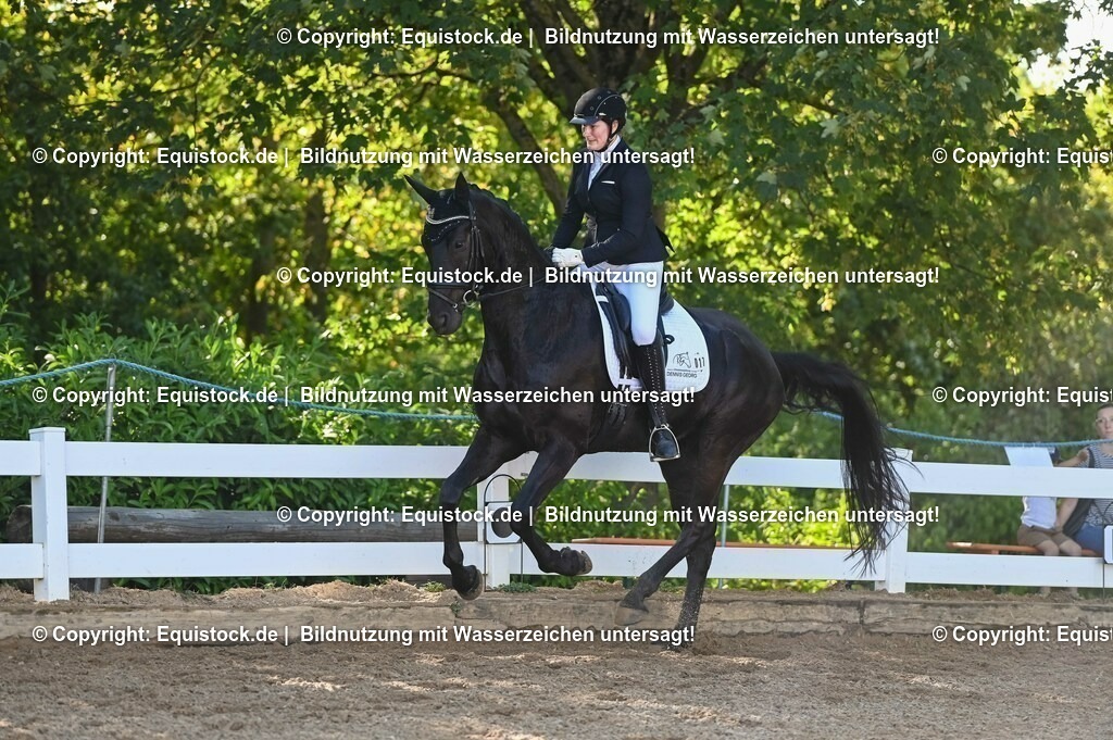 20230715_06_Dressurpferdeprfg. Kl.A_0019 | equistock