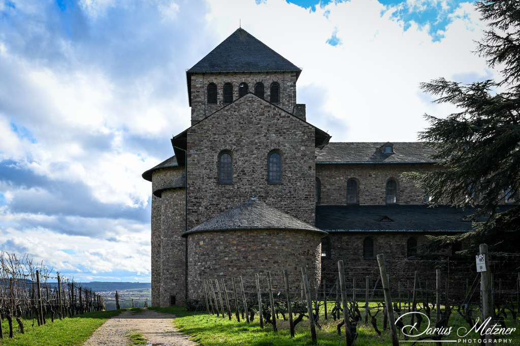 DSC_0654 | Fotografien, Fotos und Bilder aus Mainz, Frankfurt, Wiesbaden und anderen Orten auf der Welt - Fotografiert von Darius Metzner