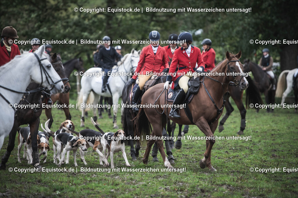 20241013_Jagd-Marbach_0141 | Foto: Thomas Hartig