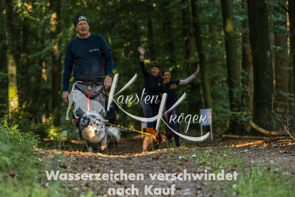 0946_ZZ91859-Bearbeitet | kk-dogfotos
