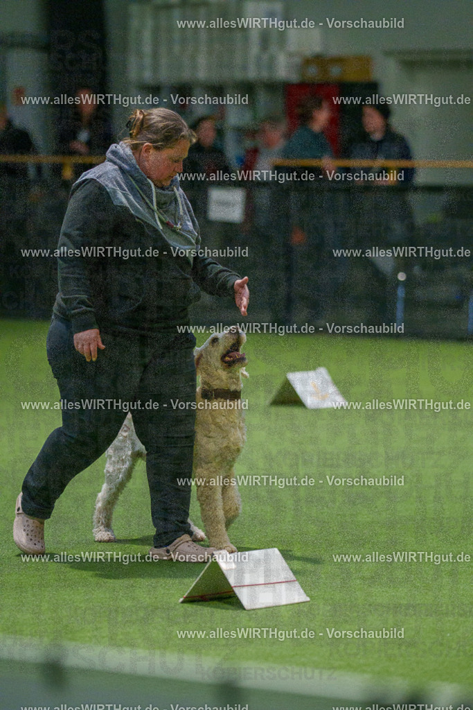 7R507490 | Professionelle Tierfotografie in Mönchengladbach von Daniel Wirth (allesWIRTHgut). Liebevolle & natürliche Bilder von Hunden & Katzen für unvergessliche Erinnerungen.