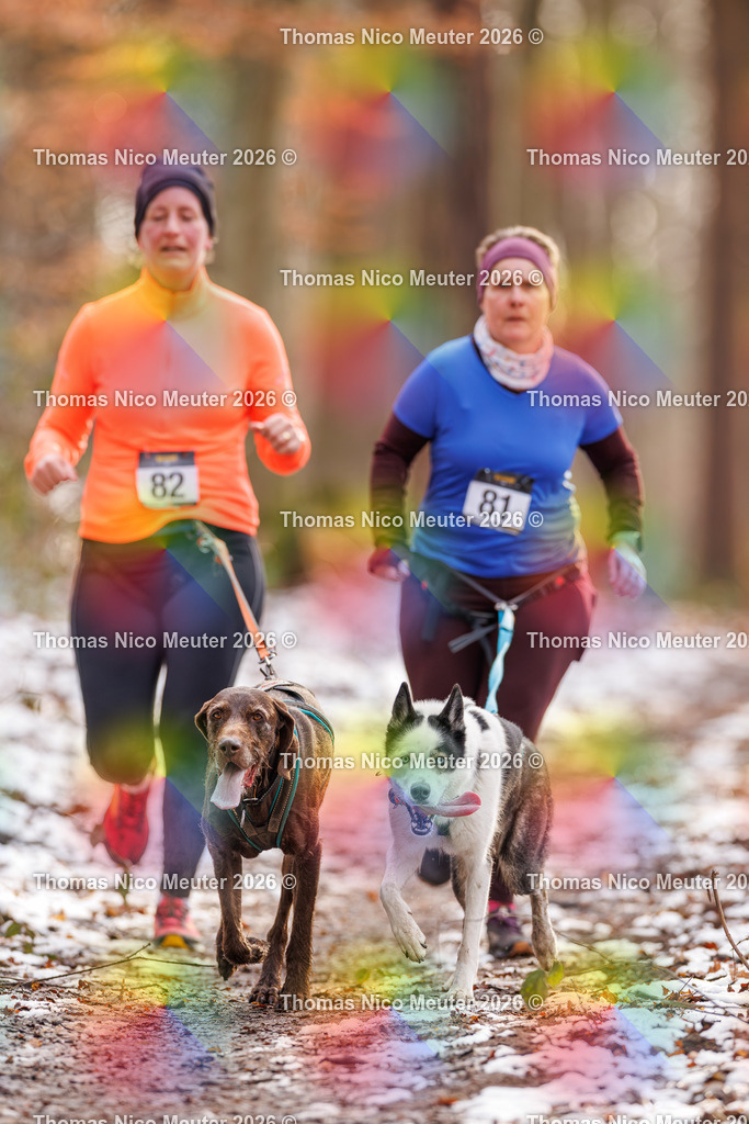 Thomas_Nico_Meuter(C)_223A9202 | Bild von Thomas Nico Meuter - Realisiert mit Pictrs.com