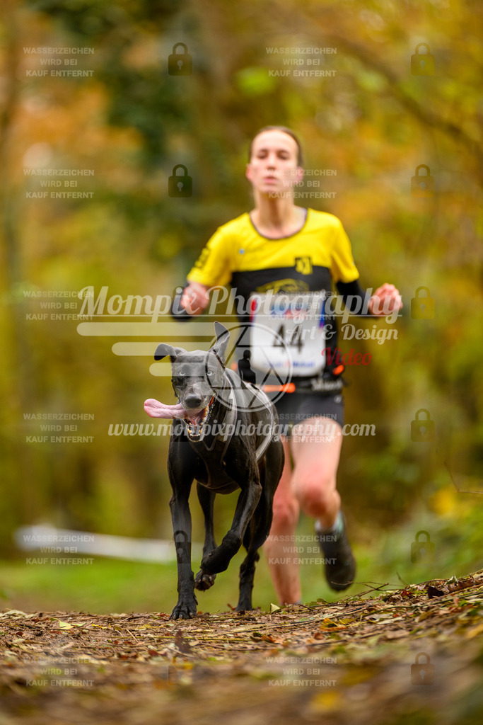 MompixPhotography_Bischwiller24_SA_Canicross-35 | PayLife