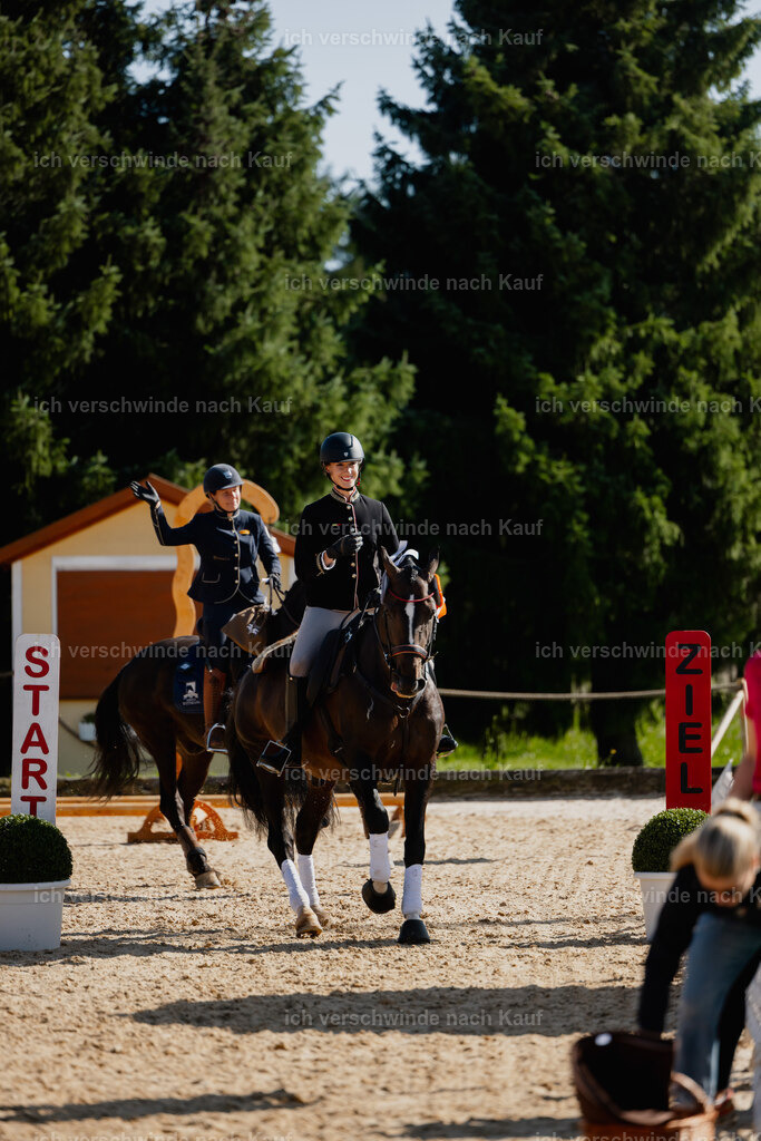 Virginie12FHC2025-27806 | working equitationturnier fotograf videograf stoibphotography marixx film working equitation deutschland reitsport turnierfotografie eventfotografie equestrian events