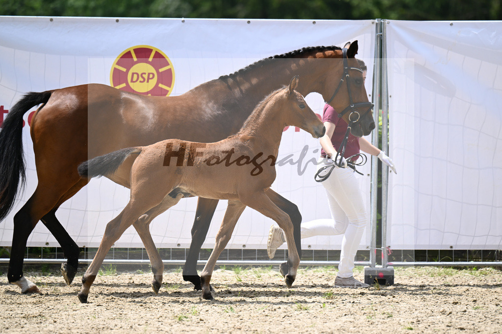Vingino x Lavall II_HF_Zuchthof Meindl_19240408 | hf-fotografie - Realisiert mit Pictrs.com