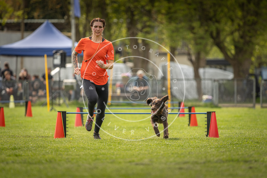 Pfotenfotografie_DV3A6169 | Hundefotografie, Tierfotograf, Pfotenfotografie, Fotoshooting Hund, Hunde Portrait, Hundesport, Hundeportraits, Heideshooting, Hunde, Sportfotograf, Hundefotograf, Turnierhundsport, THS,  - Realisiert mit Pictrs.com