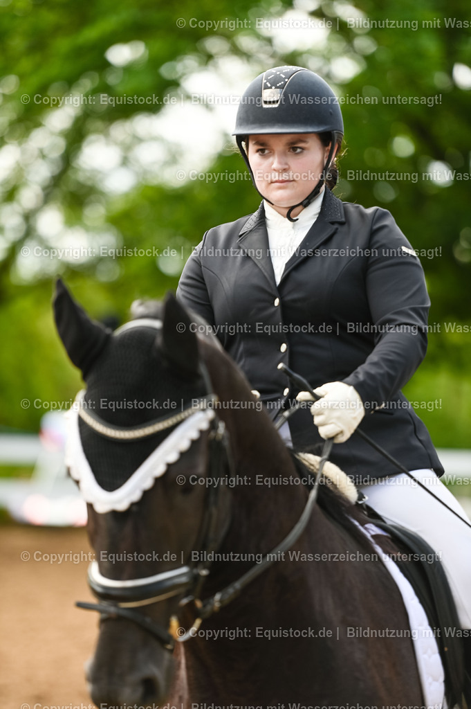 20230716_04_Dressurreiterprüfung Kl.A_0359 | equistock