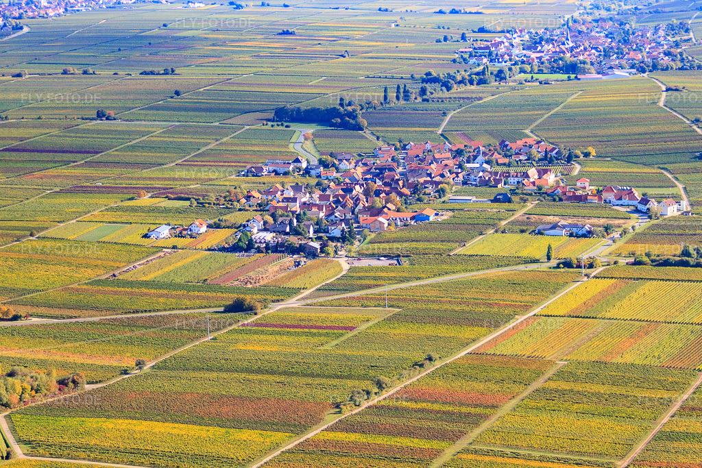 Luftbild: Winzerdorf von Westen in Flemlingen im Bundesland Rheinland-Pfalz in Deutschland. Foto: IMG_22262.jpg vom 15.10.2009 durch Werner Riehm/FLY-FOTO.de