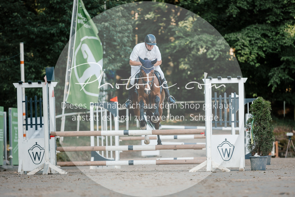 3I6A6199 | Stimmungsvolle Portraits und Reitsportfotografie im Ruhrgebiet und im Münsterland.

Pferdefotografie, Hundefotografie, Tierfotografie, Reportagen, Portraits von Tier und Mensch, Turnierfotografie in Bochum, Recklinghausen, Marl, Haltern am See, Dülmen.. - Realisiert mit Pictrs.com