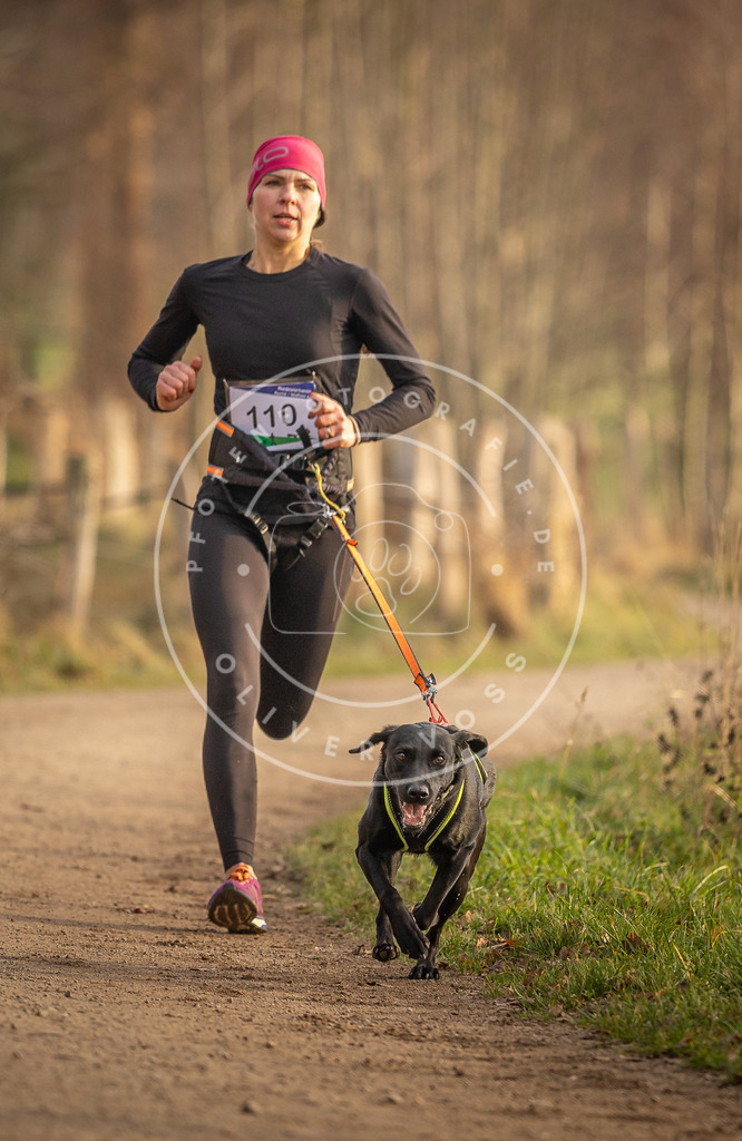 Pfotenfotografie_DV3A4996 | Hundefotografie, Tierfotograf, Pfotenfotografie, Fotoshooting Hund, Hunde Portrait, Hundesport, Hundeportraits, Heideshooting, Hunde, Sportfotograf, Hundefotograf, Turnierhundsport, THS,  - Realisiert mit Pictrs.com