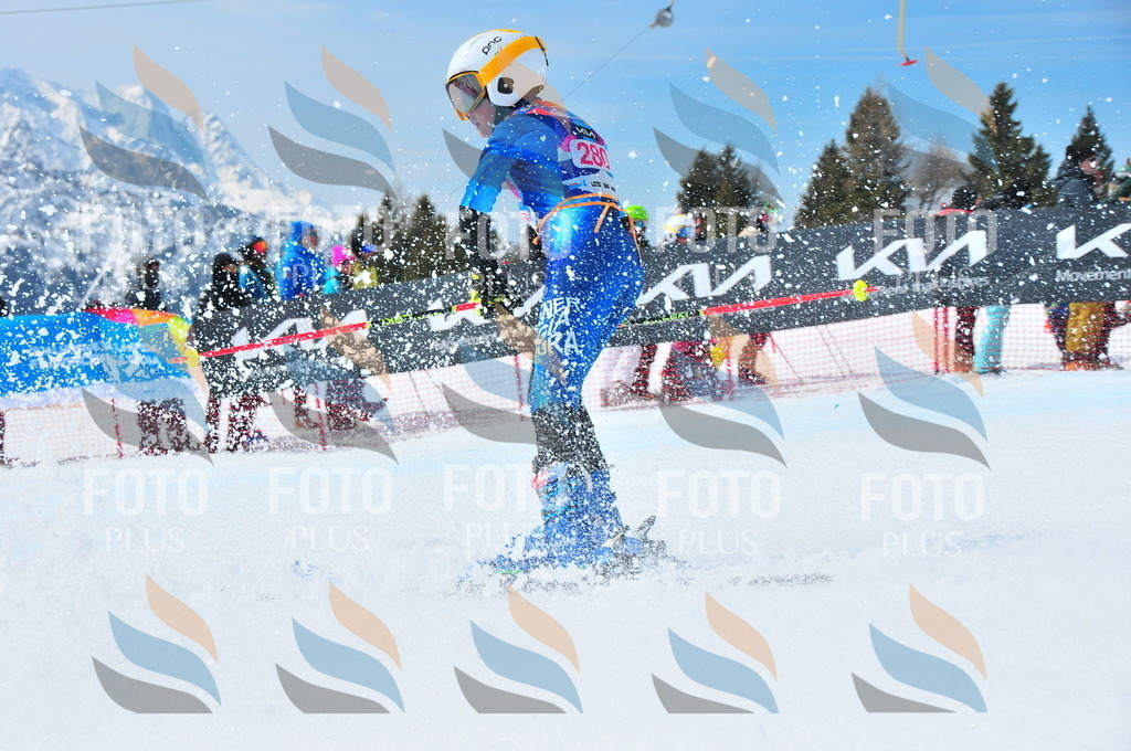 DSC_6360 | holidayphoto