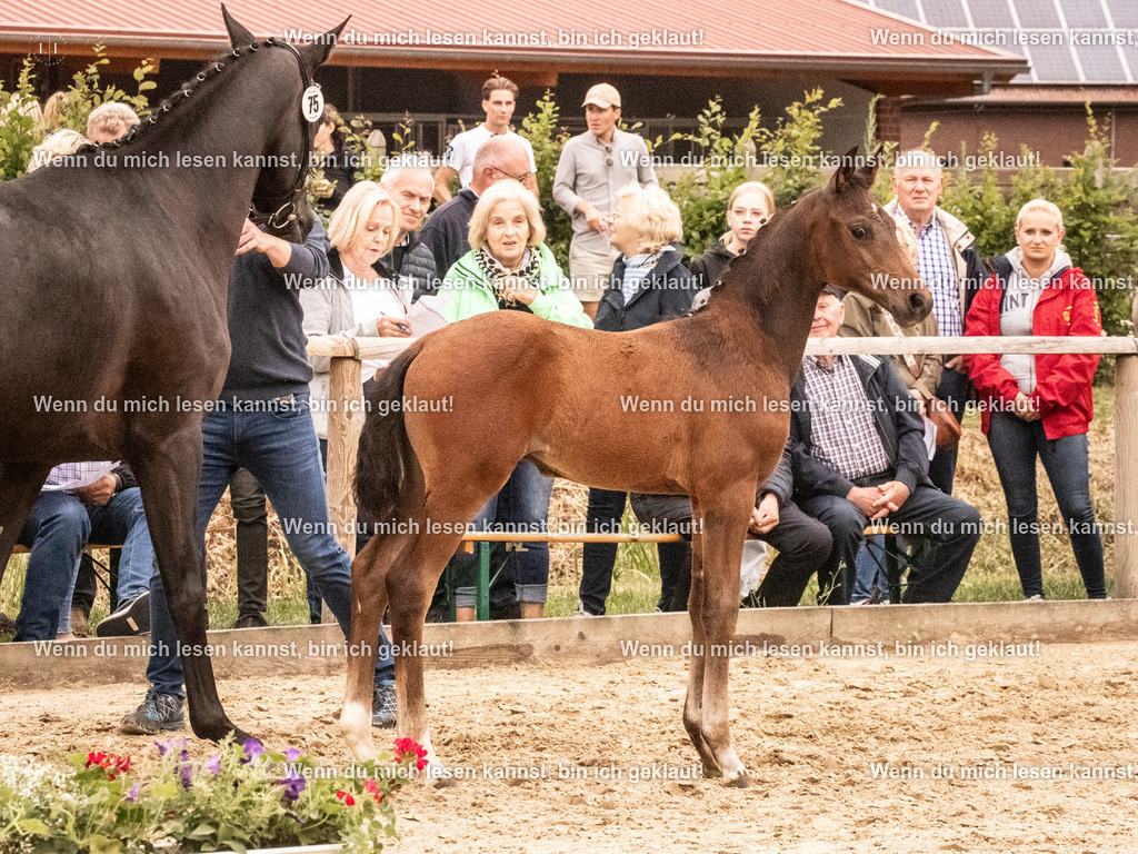 A10I1598 | photographylinaismer - Realisiert mit Pictrs.com