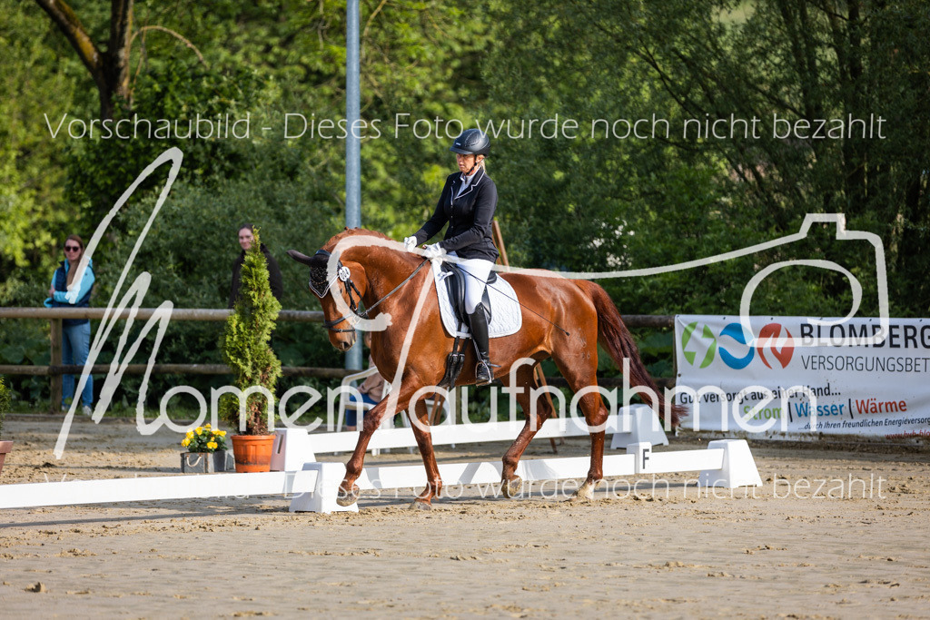 Donop24-A-Dre-004 | MomenTaufnahmen Pferdesportfotos