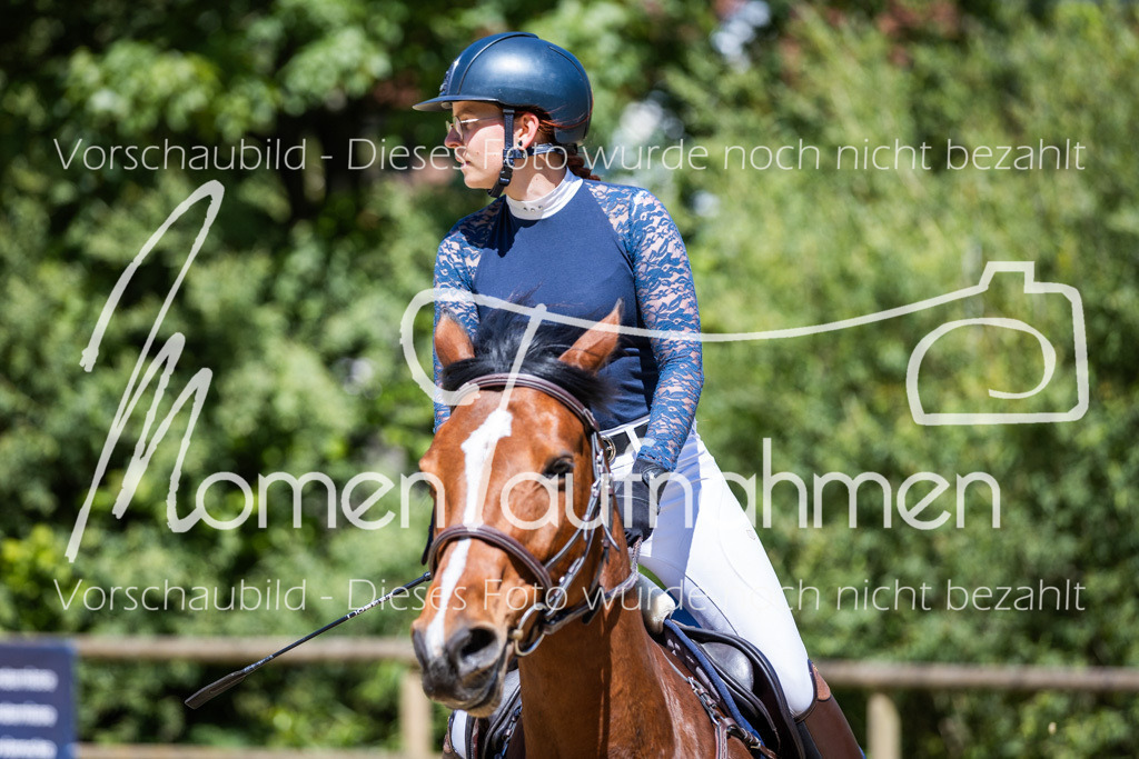 Donop24-Stil-L-036 | MomenTaufnahmen Pferdesportfotos