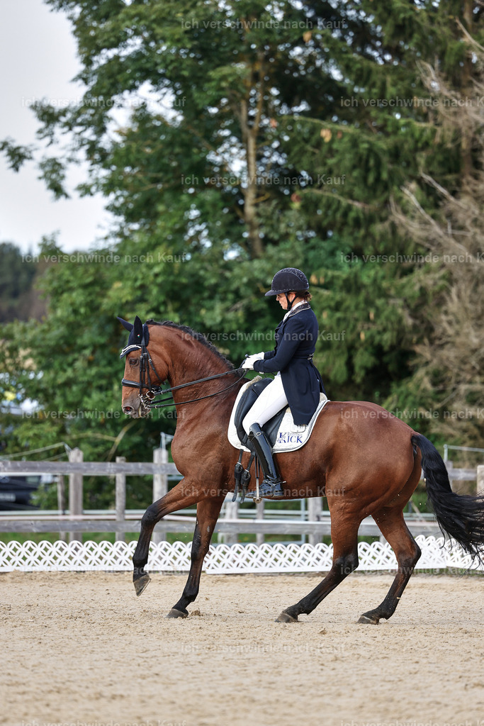 13-072-S___ -StoibPH-7002 | working equitationturnier fotograf videograf stoibphotography marixx film working equitation deutschland reitsport turnierfotografie eventfotografie equestrian events