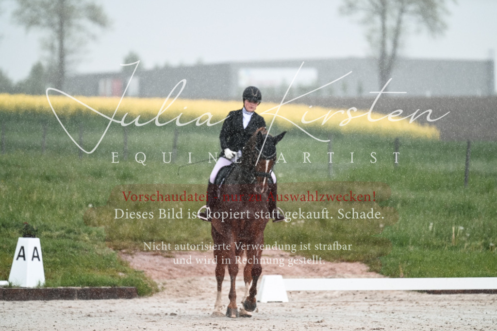 DSC_4114 | Pferde- und Turnierfotografie in Westsachsen. Pferdeportraits, Auftragszeichnungen und intuitive Kunst.