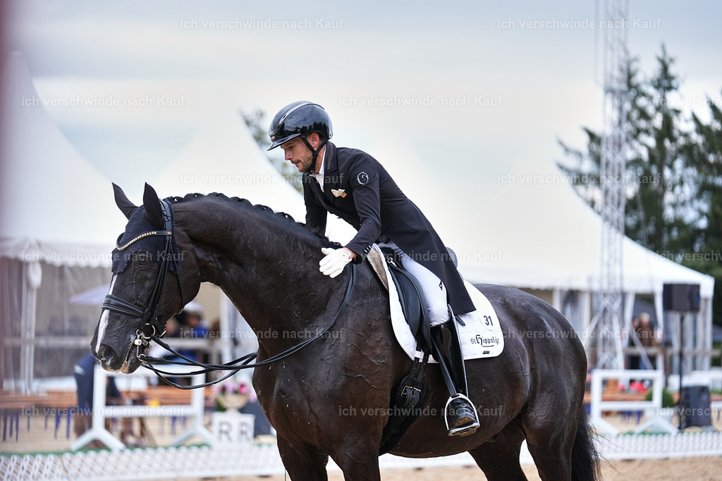 12-031-DRESSUR  S___  -Marixx-5230 | working equitationturnier fotograf videograf stoibphotography marixx film working equitation deutschland reitsport turnierfotografie eventfotografie equestrian events
