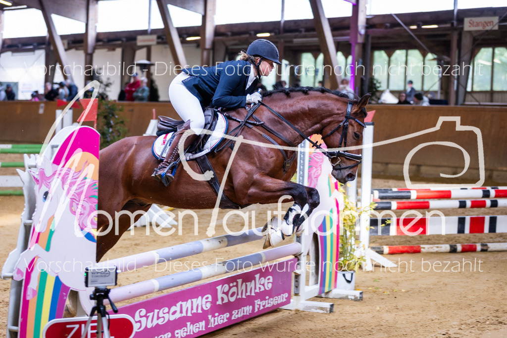 Sth-A-Springen-068 | MomenTaufnahmen Pferdesportfotos