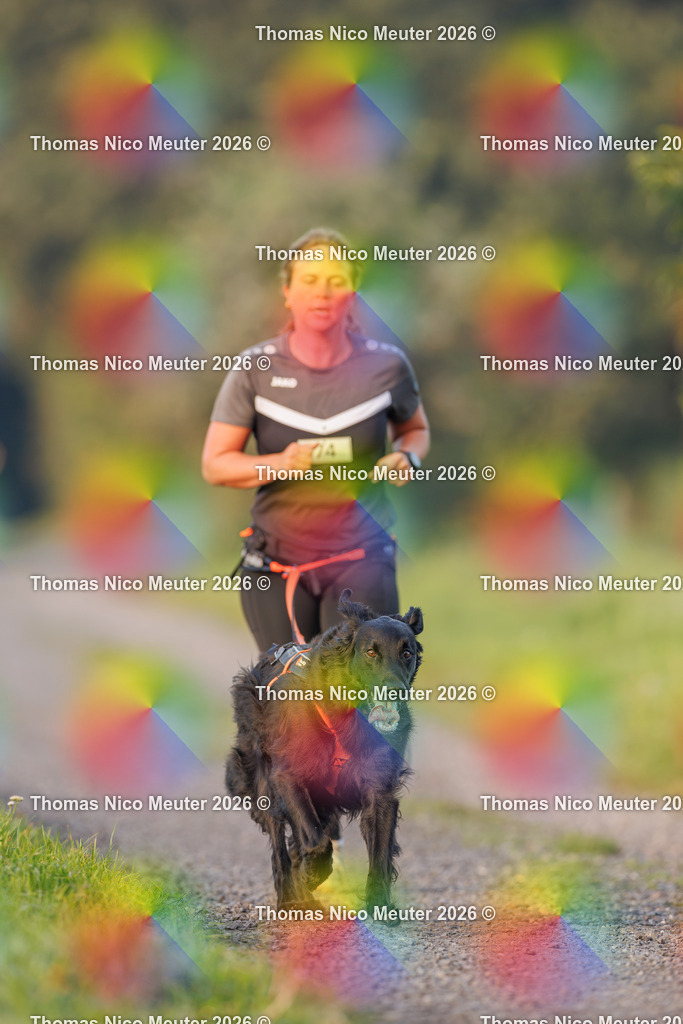 Thomas_Nico_Meuter(C)_27. September 2026_223A0264 | Bild von Thomas Nico Meuter - Realisiert mit Pictrs.com