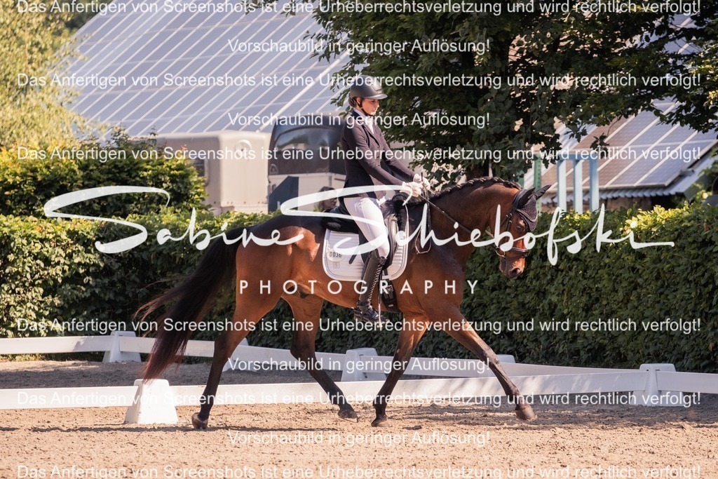 2025_05_31_DSCF3035 | People- und Tierfotografie, Imageaufnahmen, Veranstaltungsfotografie und Wandbilder aus der Natur ★ Made in Germany ✔️ Druck + Downloads ✔️ Naturfotografie in Top Qualität ★ schneller Versand, weltweite Lieferung! - Realisiert mit Pictrs.com