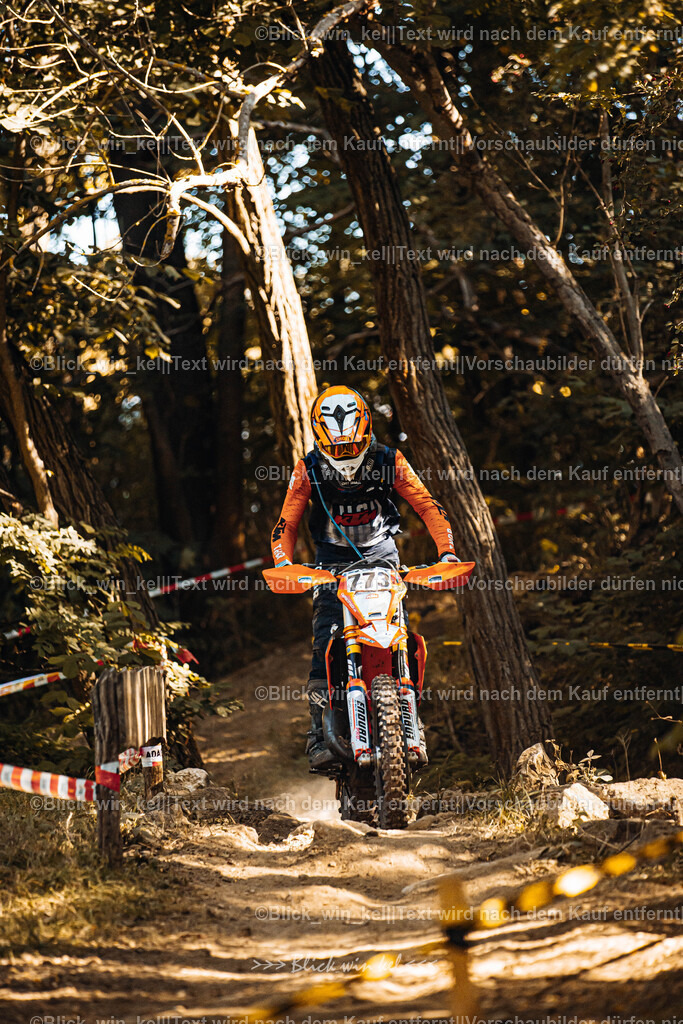 E68A5542 | blick_win_kel